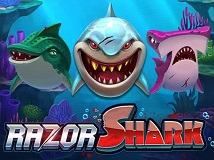 Razor Shark